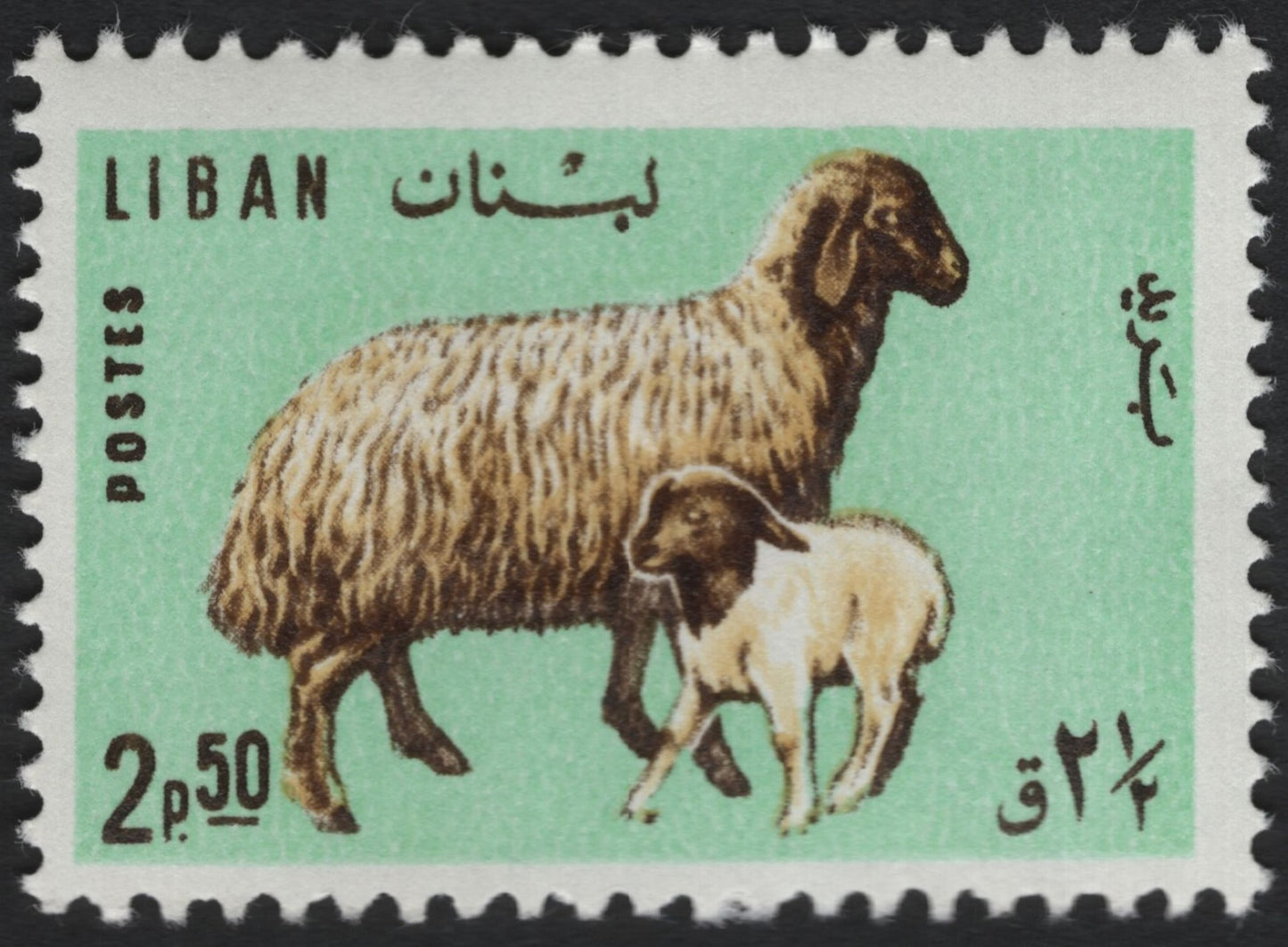 SCG9343 - Lebanon 2p50 “Ewe and Lamb” – Agricultural Livestock Issue