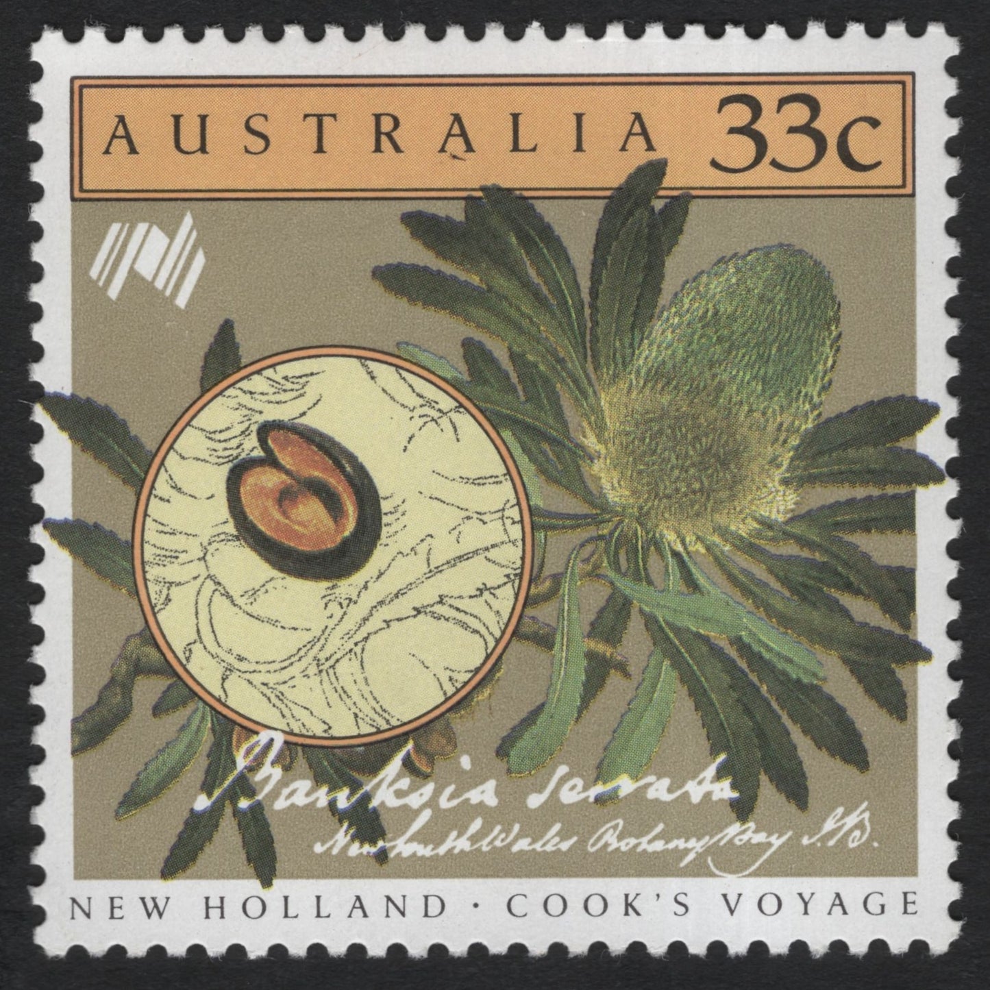 SCG8558 - Australia 1983 – Banksia Serrata, Cook’s Voyage Series