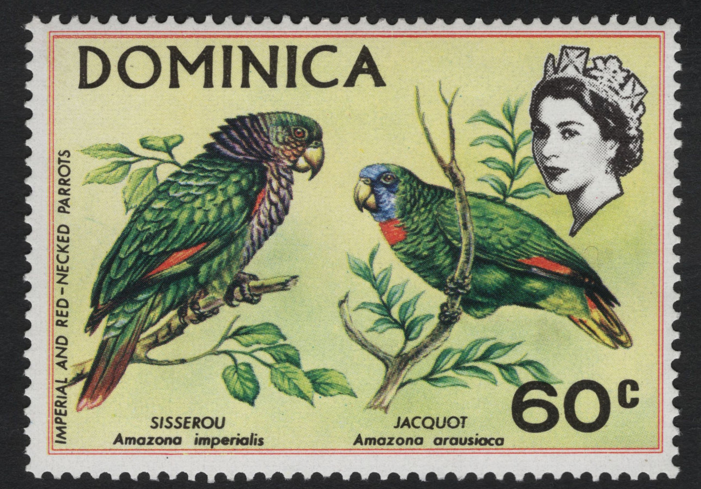 SCG10301 - Dominica – Wildlife & Nature Definitives Set (Parrots, Flowers, Flying Fish, Green Turtle) – 24c–60c
