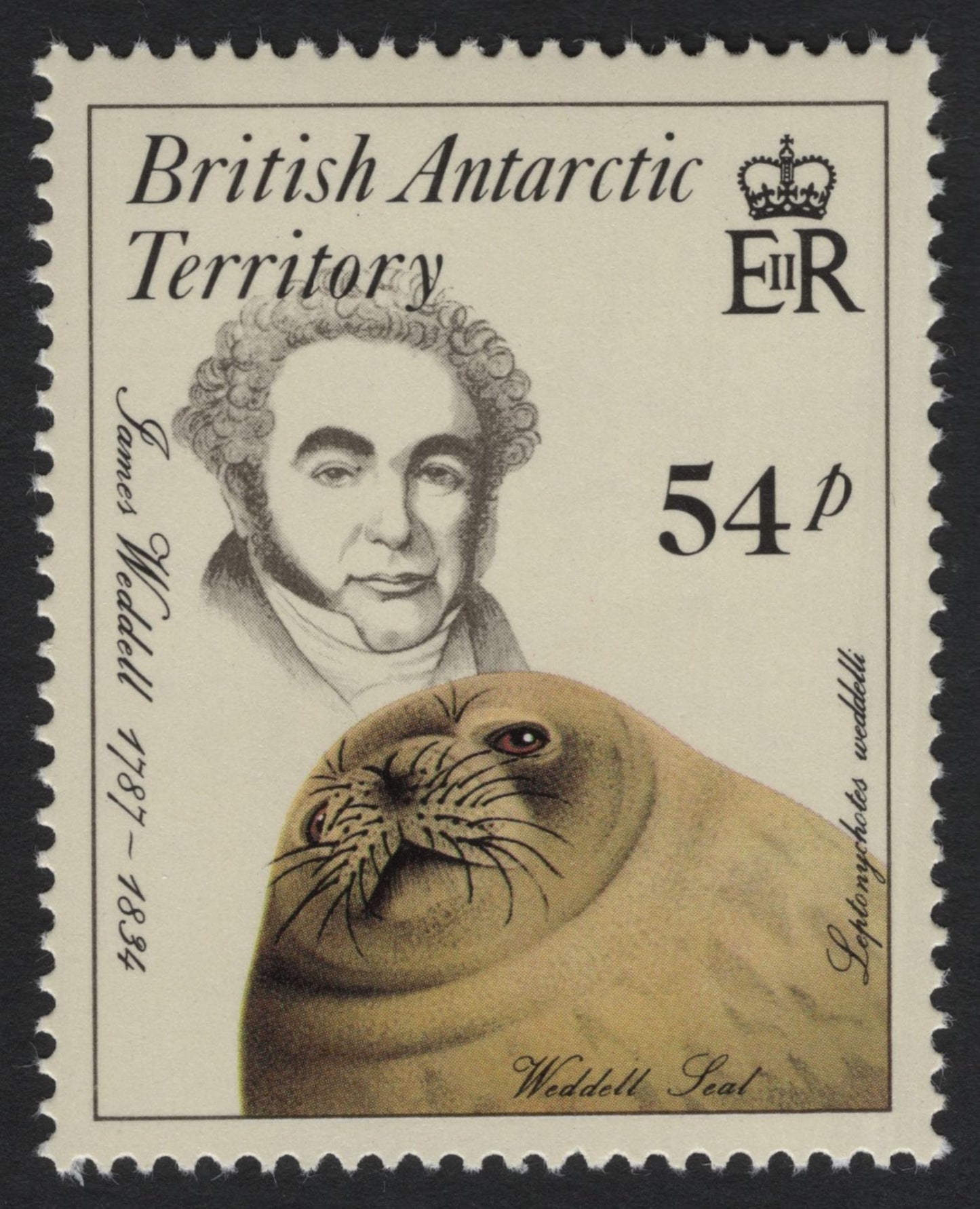 SCG8991 - British Antarctic Territory – Explorers & Antarctic Wildlife (Weddell Seal & Hourglass Dolphin), 54p & 27p