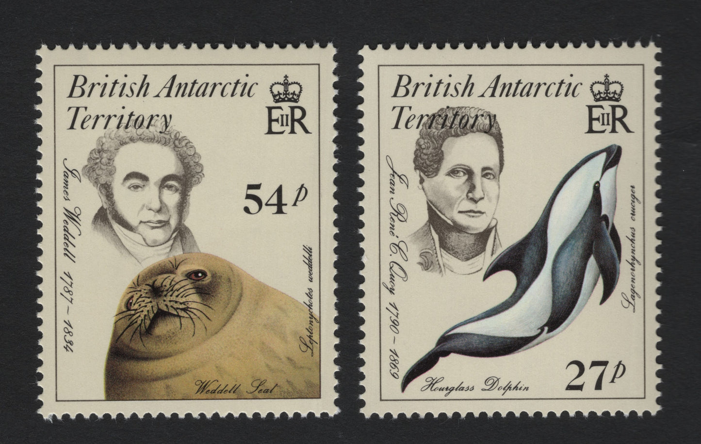 SCG8991 - British Antarctic Territory – Explorers & Antarctic Wildlife (Weddell Seal & Hourglass Dolphin), 54p & 27p