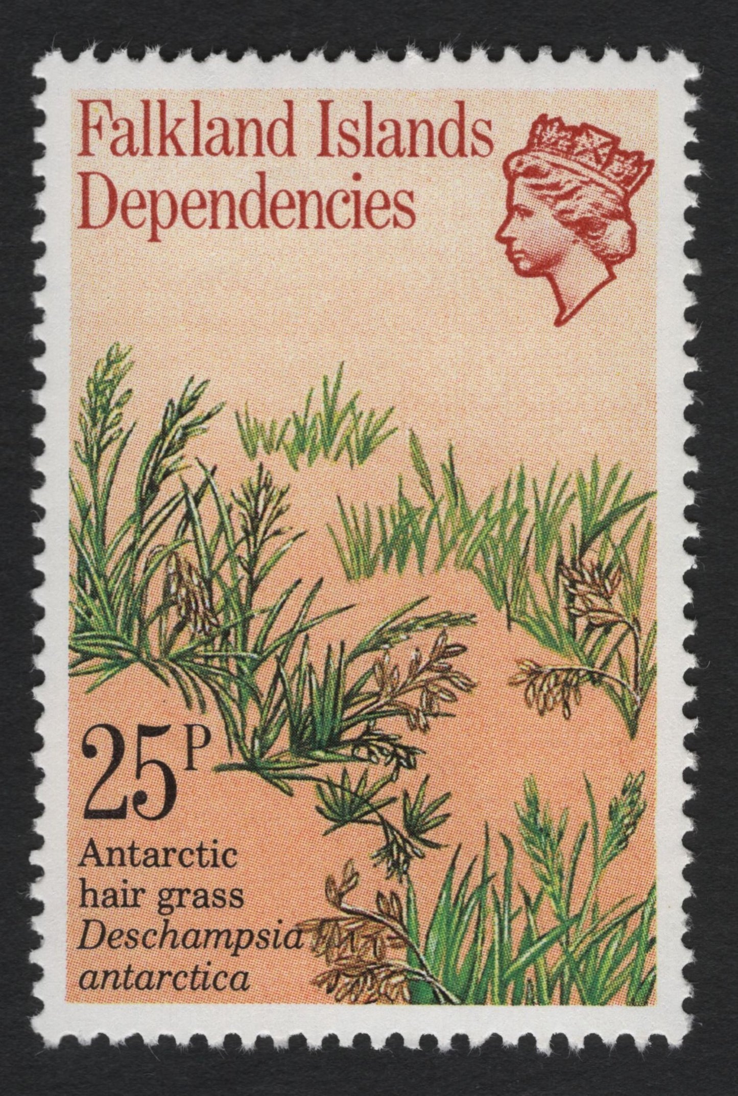 SCG8986 - Falkland Islands Dependencies – Antarctic Flora Definitive Set
