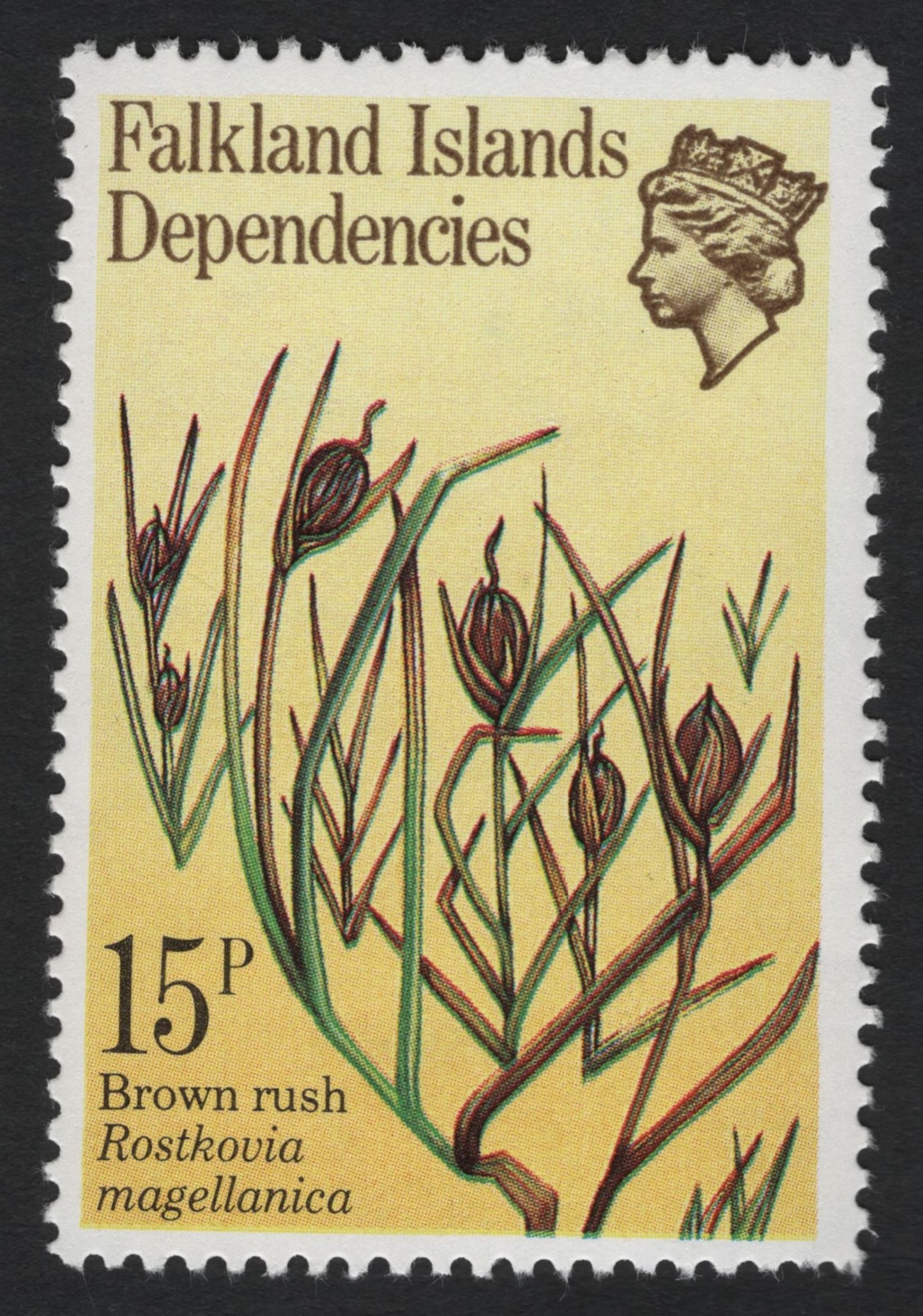 SCG8986 - Falkland Islands Dependencies – Antarctic Flora Definitive Set