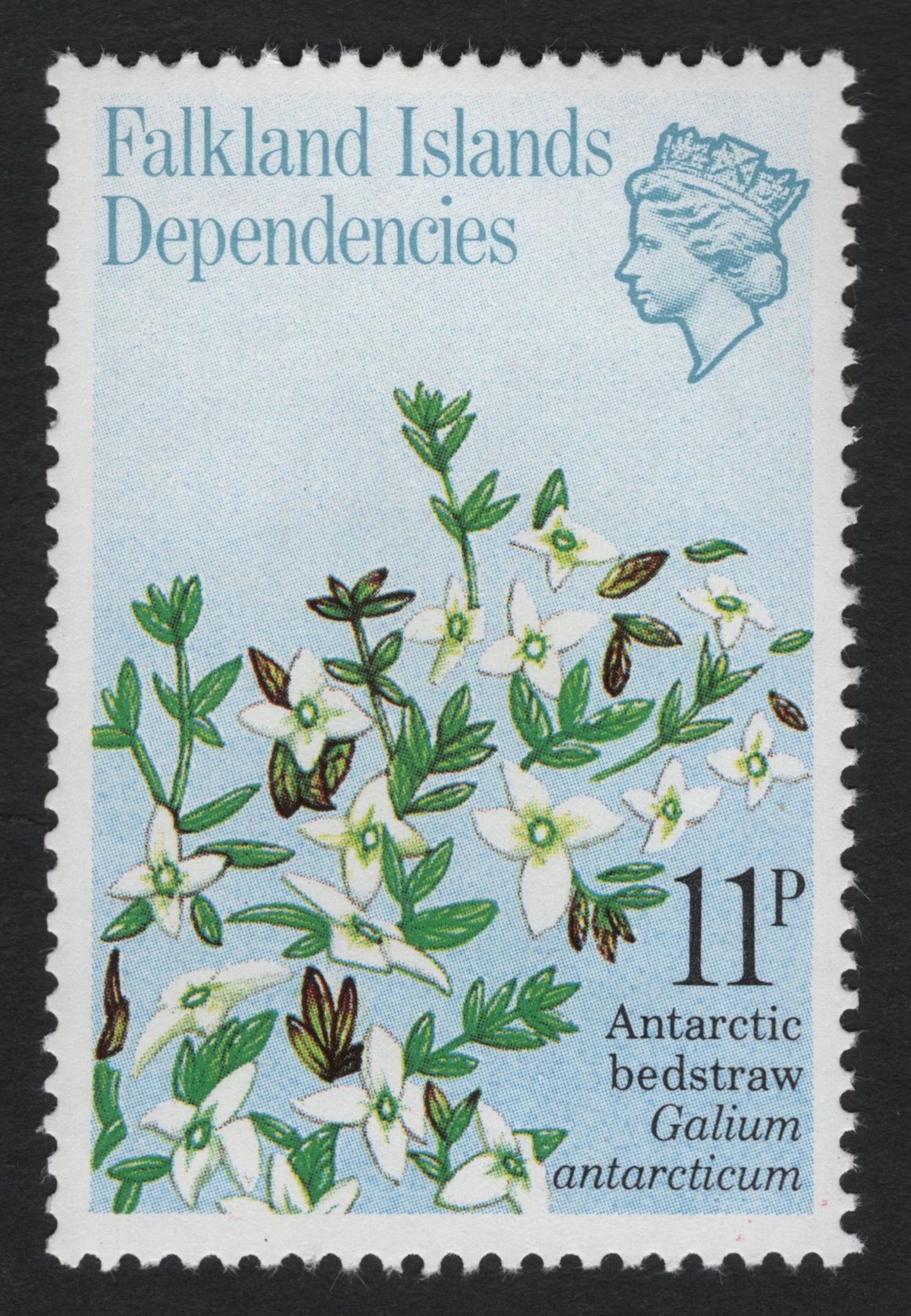 SCG8986 - Falkland Islands Dependencies – Antarctic Flora Definitive Set