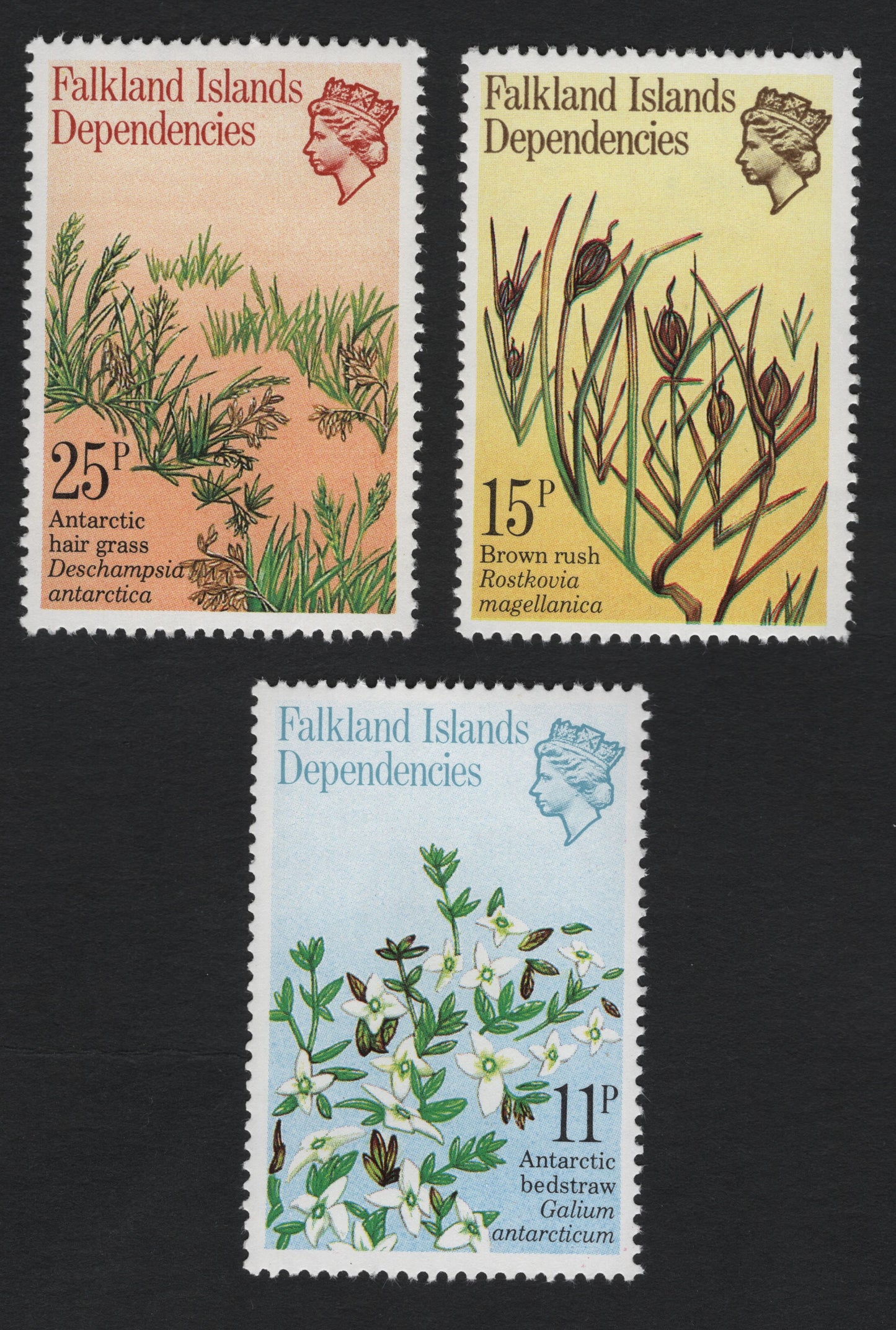 SCG8986 - Falkland Islands Dependencies – Antarctic Flora Definitive Set