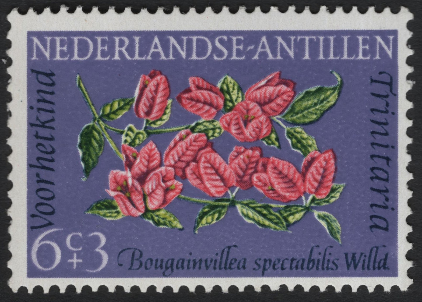 SCG10075 - Netherlands Antilles 6c+3c “Bougainvillea spectabilis – Trinitaria” Semi-Postal (Voor het Kind)