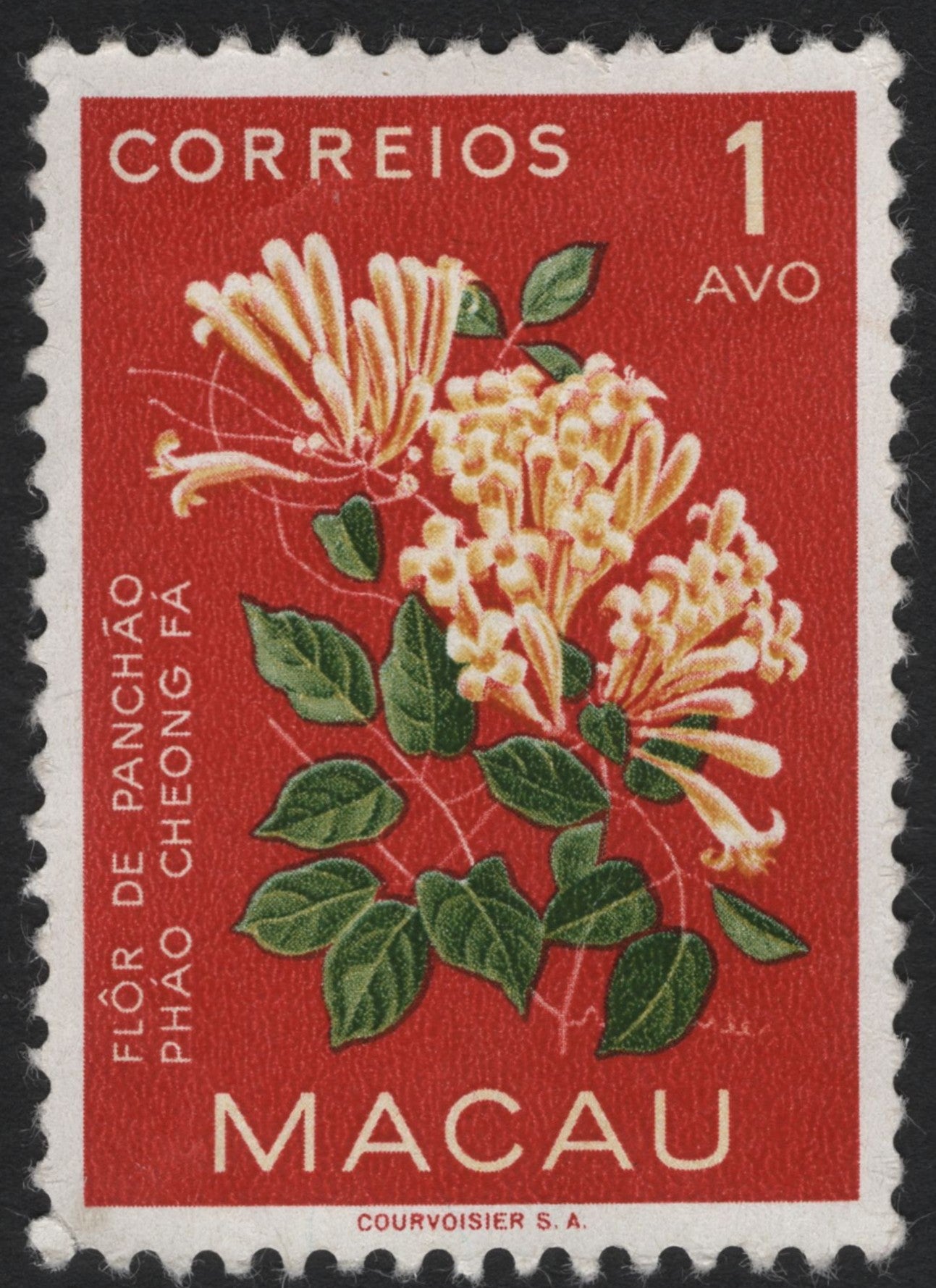 SCG10080 - Macau – Flôr de Panchão (Cheong Fá) – 1 Avo Floral Definitive