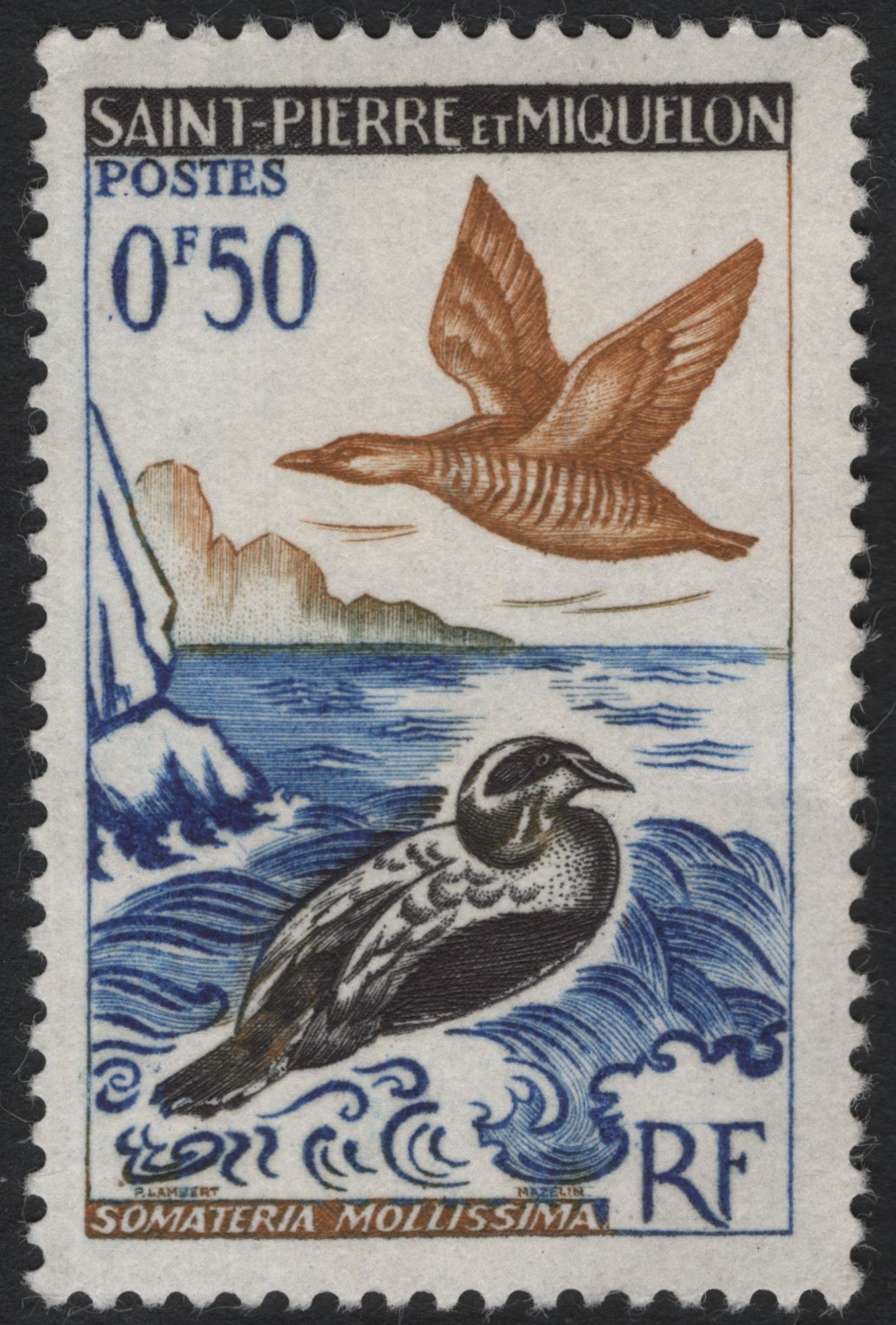 SCG8218 - Saint Pierre and Miquelon – Common Eider (Somateria mollissima), 0.50 Francs (c. 1950s)