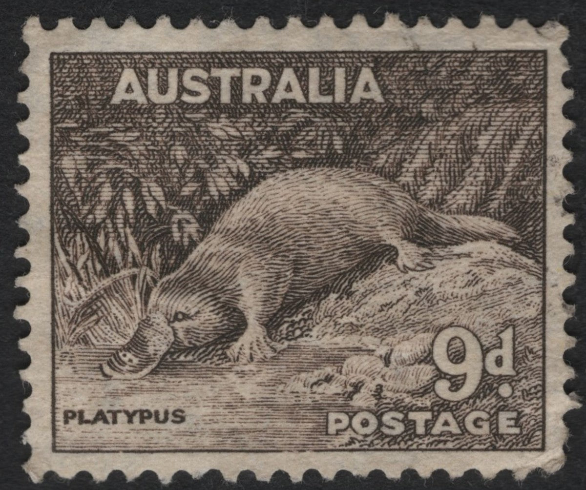 SCG9363 - Australia 1950s Definitive – 9d Platypus