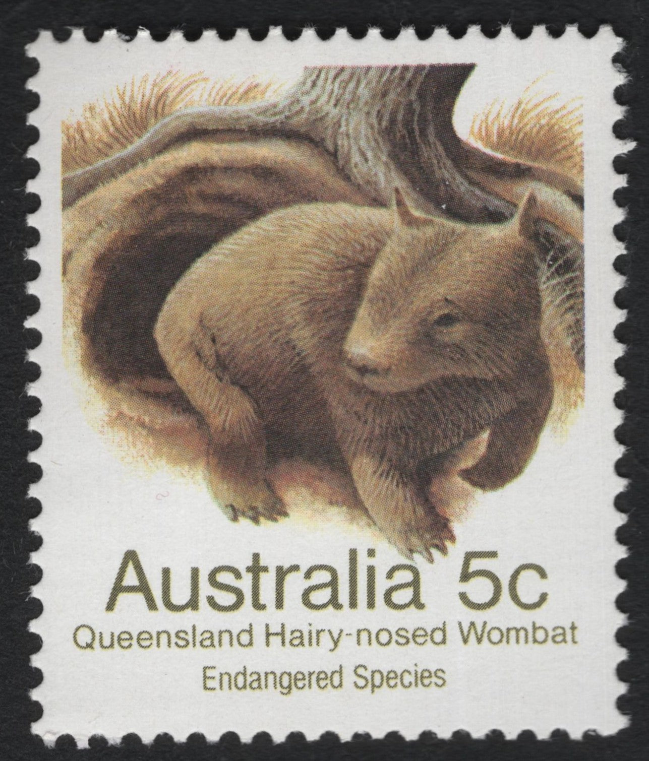SCG10058 - Australia 1974 – Queensland Hairy-Nosed Wombat, 5c (Endangered Species)