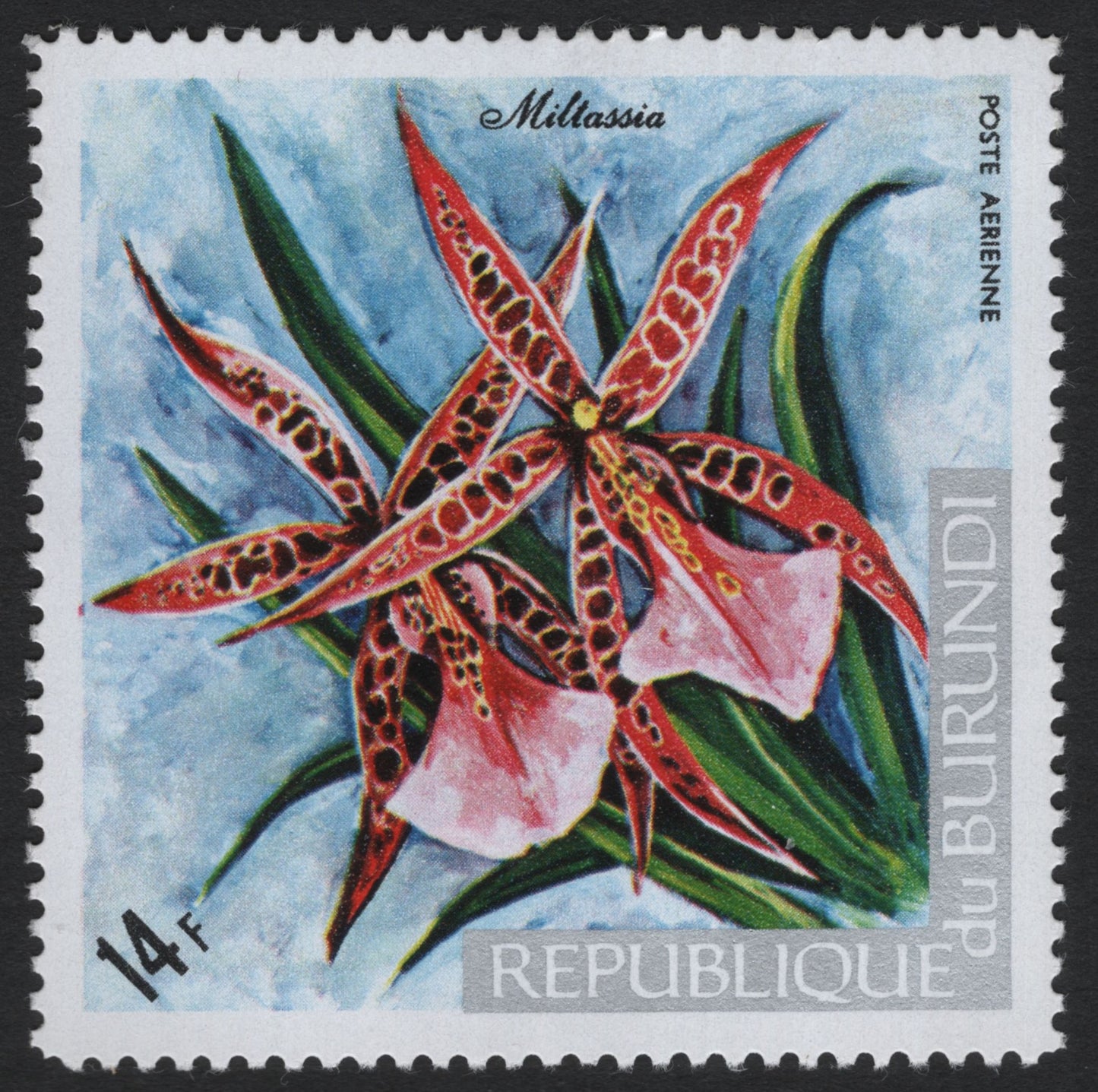 SCG8235 - Burundi 14F Orchid Airmail Stamp – Miltonia × Brassia (Miltassia)