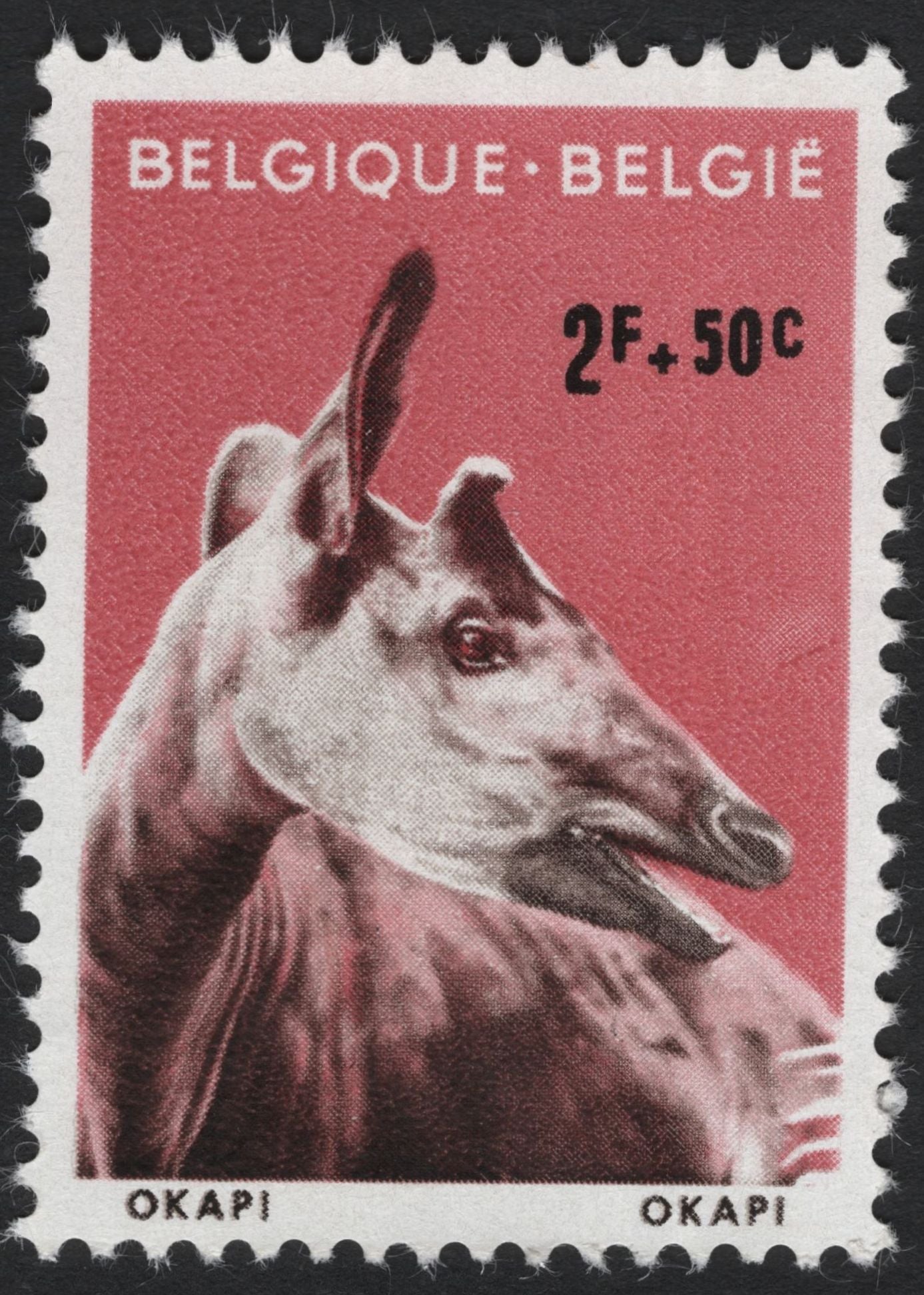 SCG8309 - Belgium 1960s Endangered Animals Semi-Postal Set