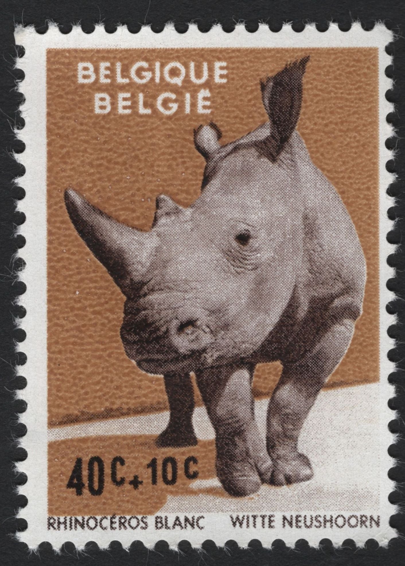 SCG8309 - Belgium 1960s Endangered Animals Semi-Postal Set