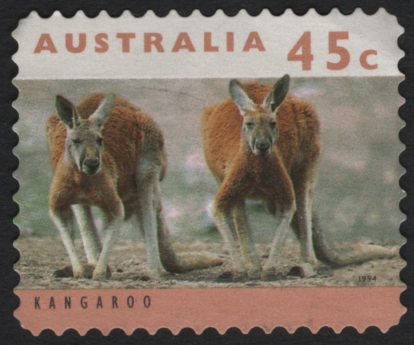 SCG8812 - Australia 1994 – Red Kangaroos Pair (45c)