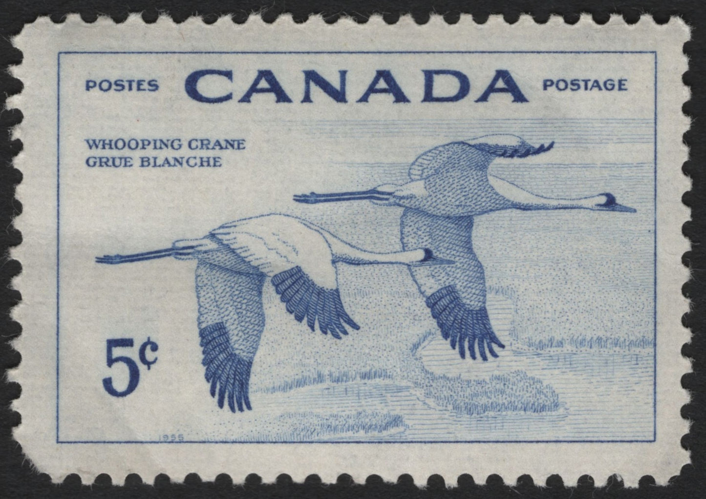 SCG6720 - Canada 1955 – Whooping Crane 5¢