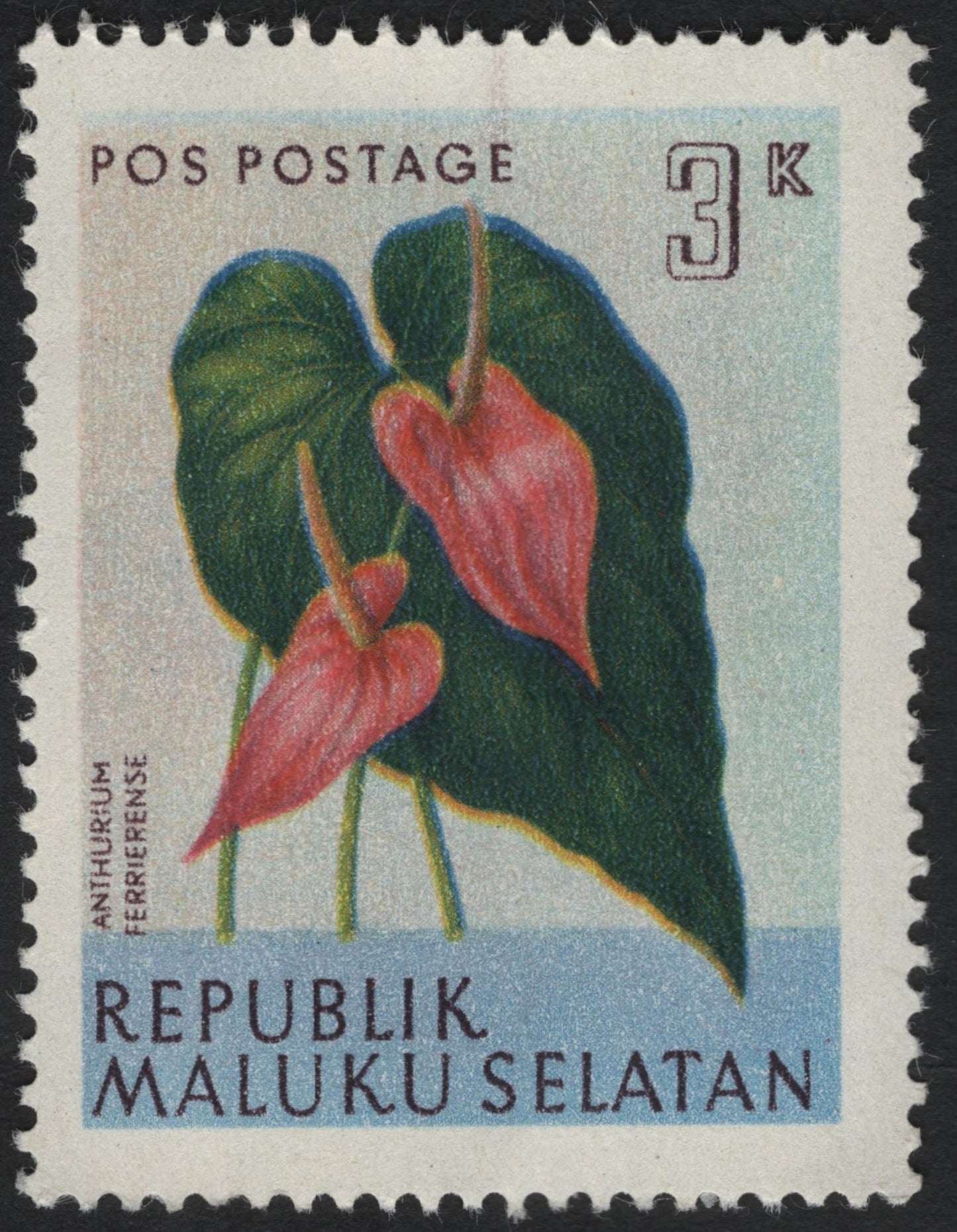 SCG6702 - Republik Maluku Selatan – Anthurium Ferrierense (3K)