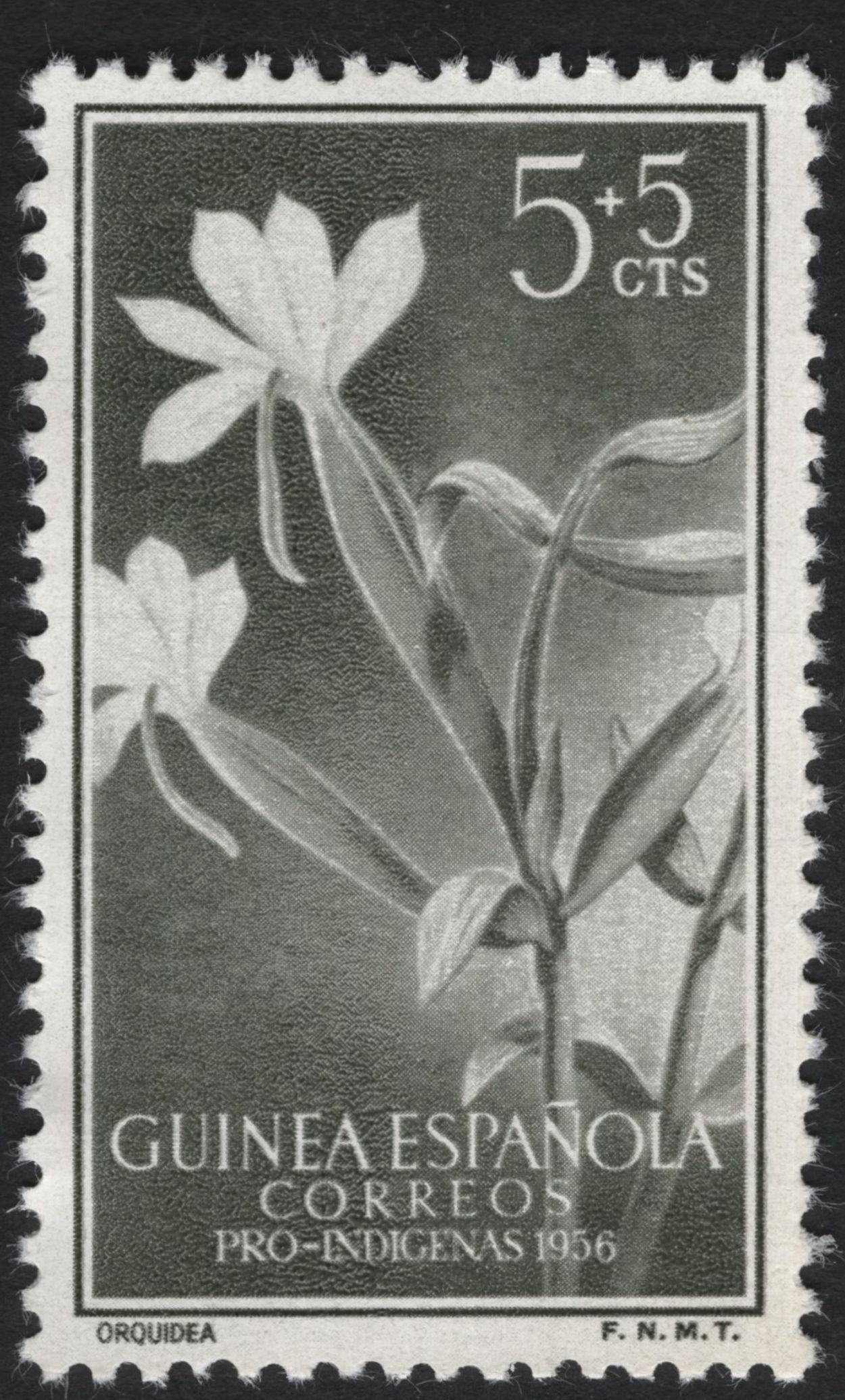 SCG7368 - Spanish Guinea 1956 – Pro-Indígenas Flora Issue