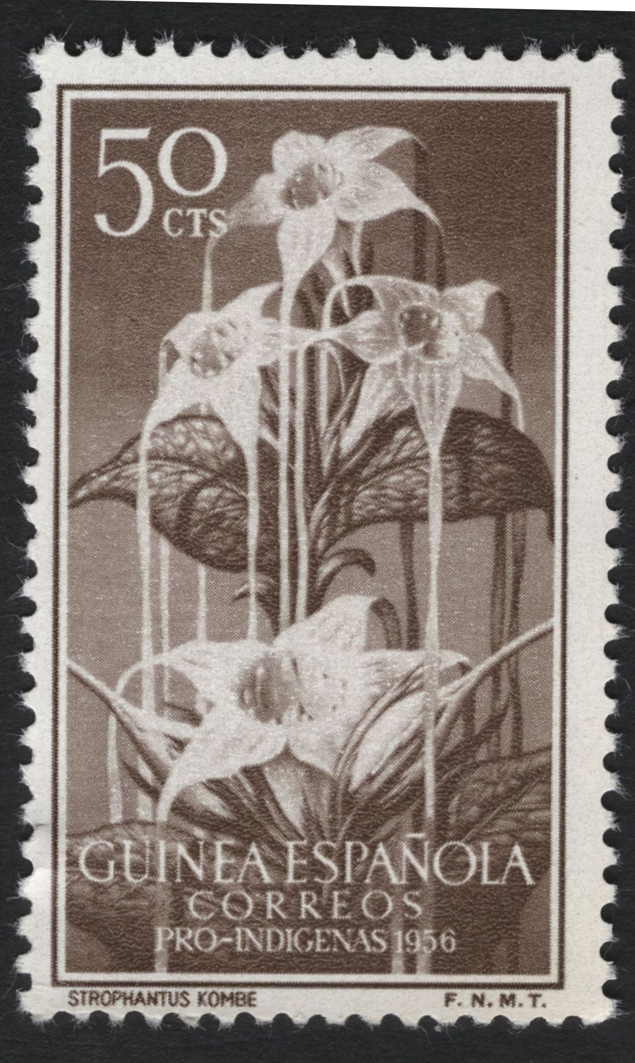 SCG7368 - Spanish Guinea 1956 – Pro-Indígenas Flora Issue