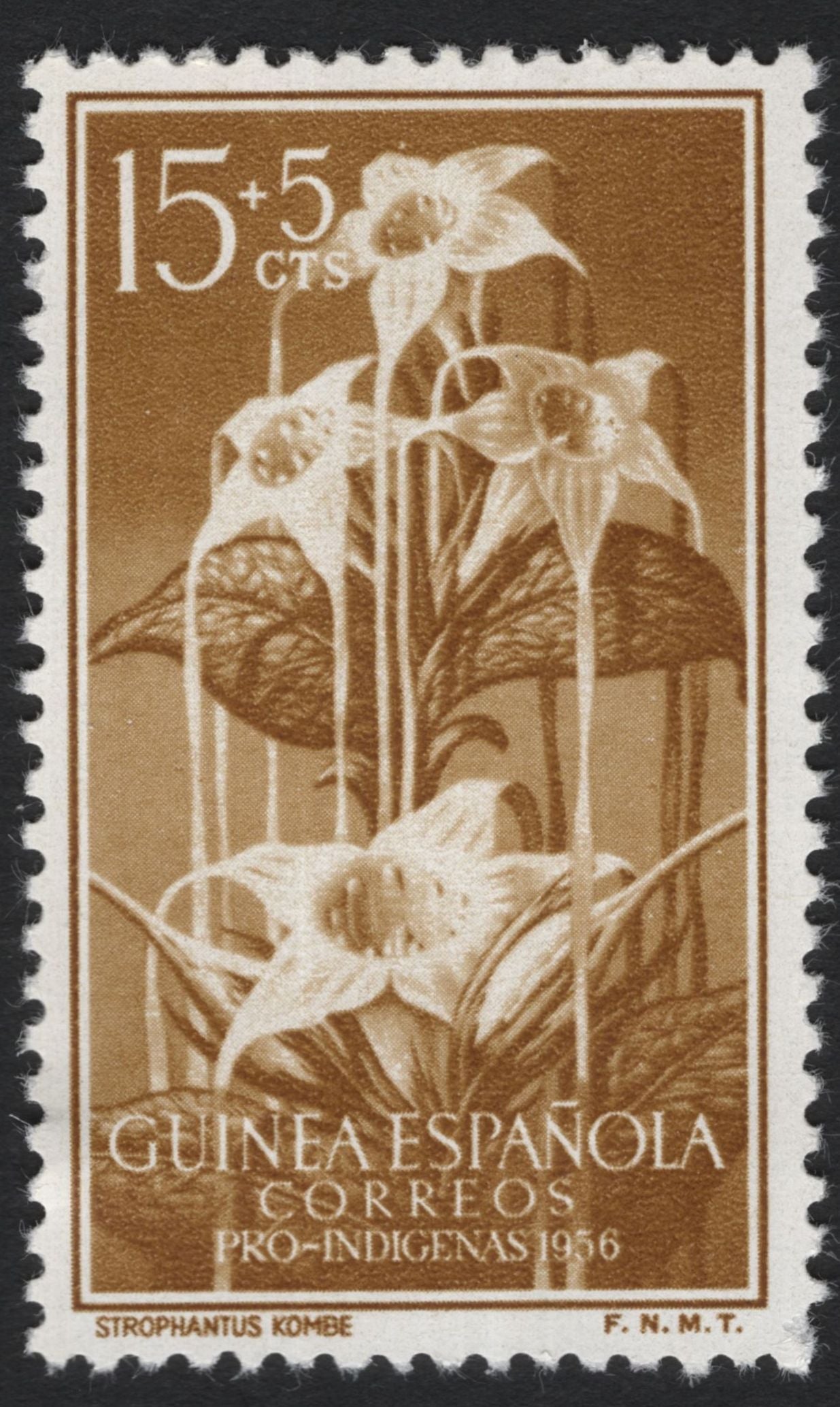 SCG7368 - Spanish Guinea 1956 – Pro-Indígenas Flora Issue