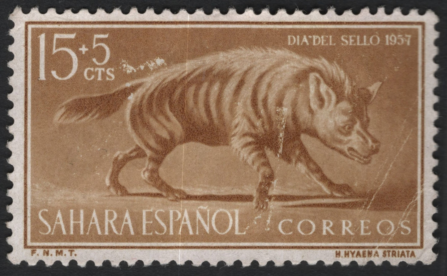 SCG10104 - Spanish Sahara 1957 – Striped Hyena (Hyaena striata) – 15c + 5c Día del Sello Semi-Postal