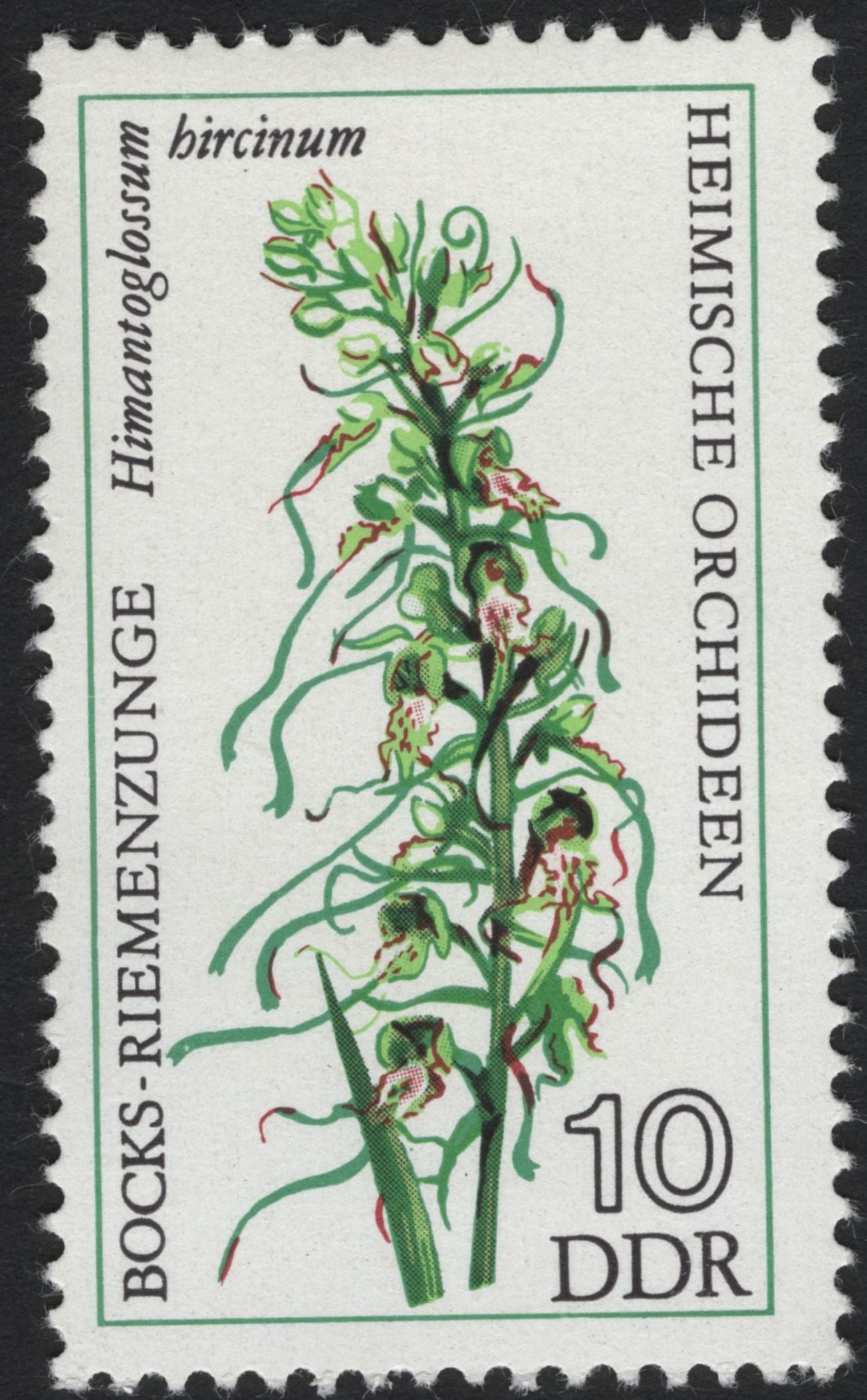 SCG8312 - DDR 1975 “Heimische Orchideen” – Native Orchids of East Germany