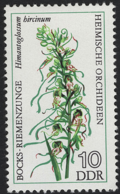 SCG8312 - DDR 1975 “Heimische Orchideen” – Native Orchids of East Germany
