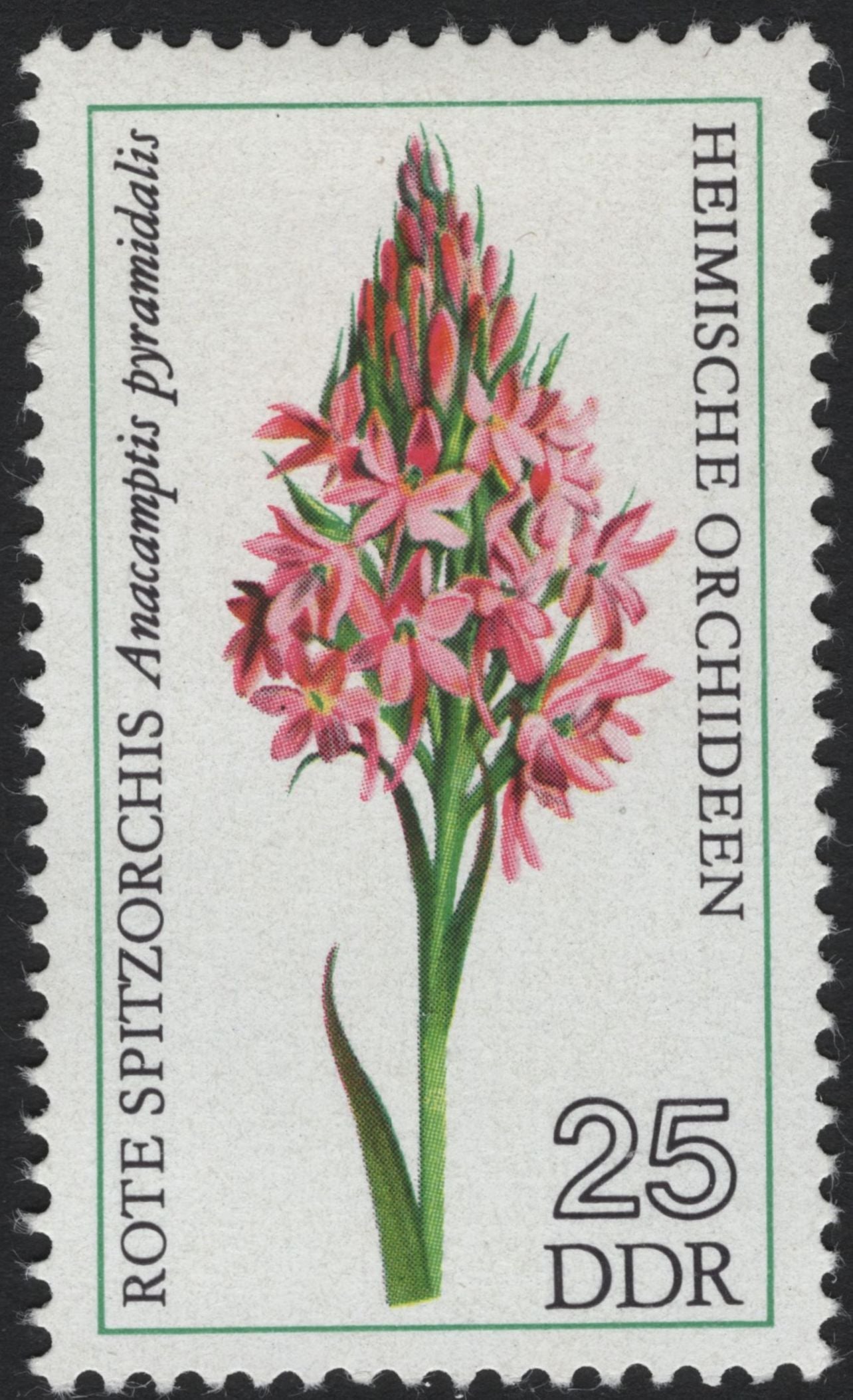 SCG8312 - DDR 1975 “Heimische Orchideen” – Native Orchids of East Germany