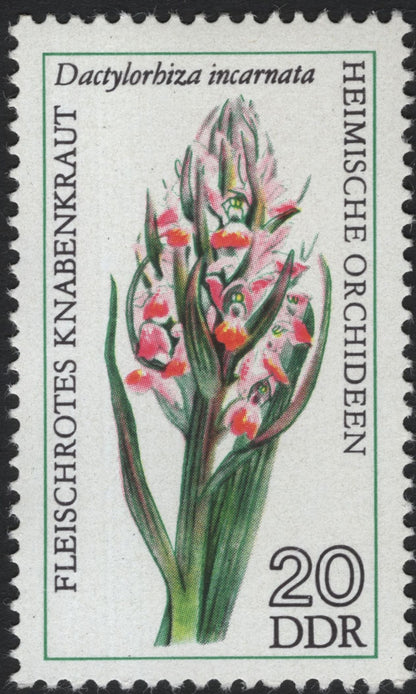 SCG8312 - DDR 1975 “Heimische Orchideen” – Native Orchids of East Germany