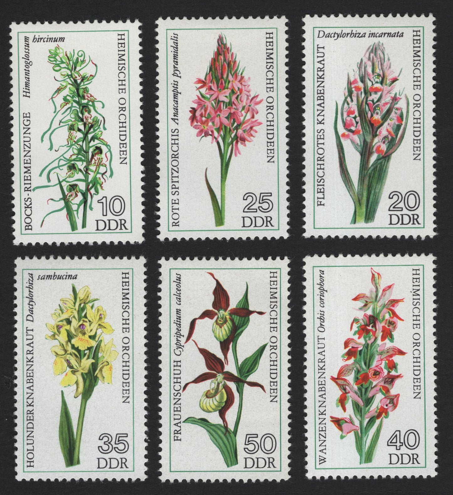 SCG8312 - DDR 1975 “Heimische Orchideen” – Native Orchids of East Germany