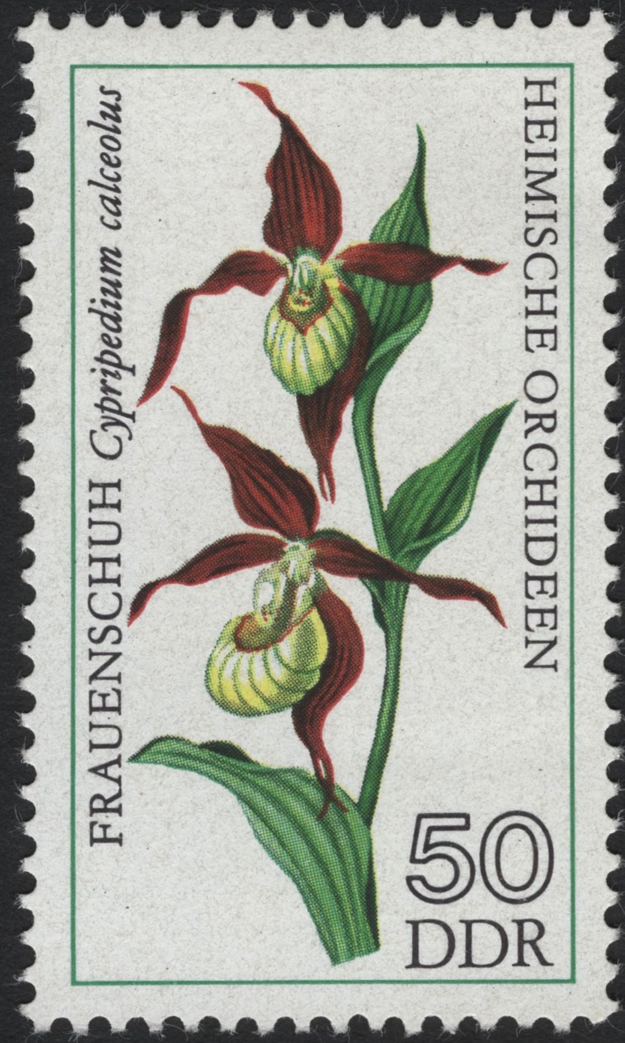 SCG8312 - DDR 1975 “Heimische Orchideen” – Native Orchids of East Germany
