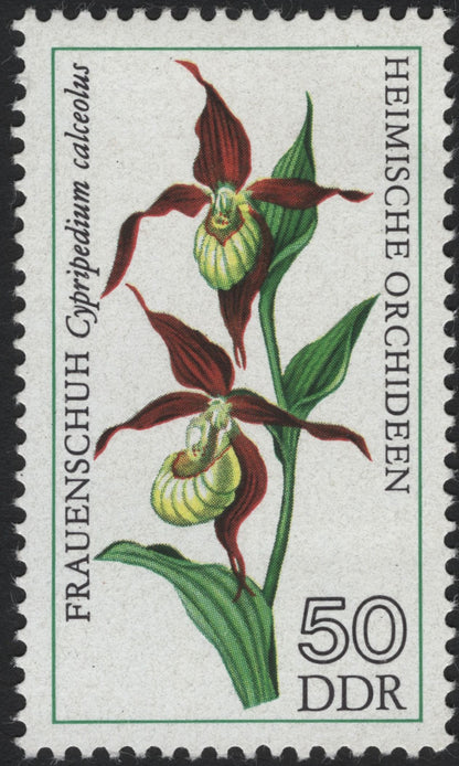 SCG8312 - DDR 1975 “Heimische Orchideen” – Native Orchids of East Germany
