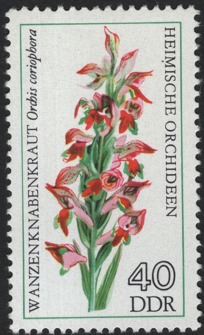SCG8312 - DDR 1975 “Heimische Orchideen” – Native Orchids of East Germany
