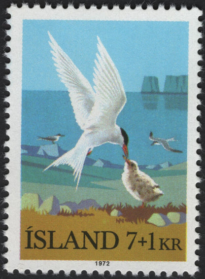 SCG7379 -  Iceland 1972 – Arctic Tern and Chick (7 + 1 Kr & 9 + 1 Kr)