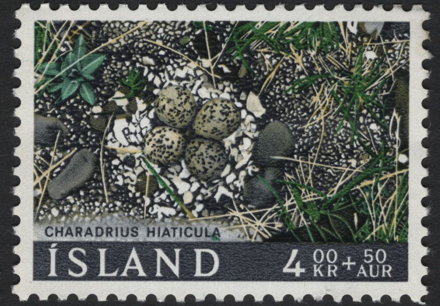 SCG7381 - Iceland 1969 – Bird Nests Definitive Series (Lagopus mutus & Charadrius hiaticula)