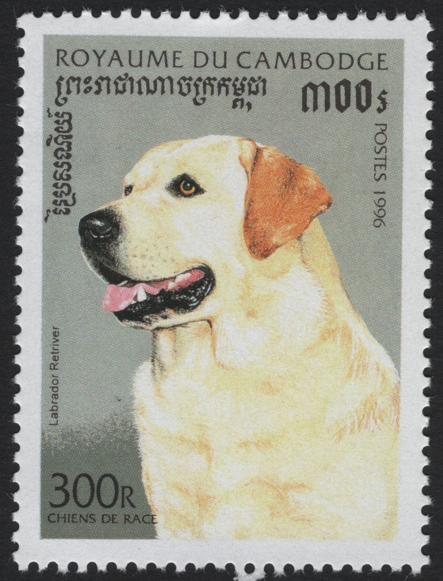 SCG8310 - Cambodia 1996 “Purebred Dogs” Stamp Series