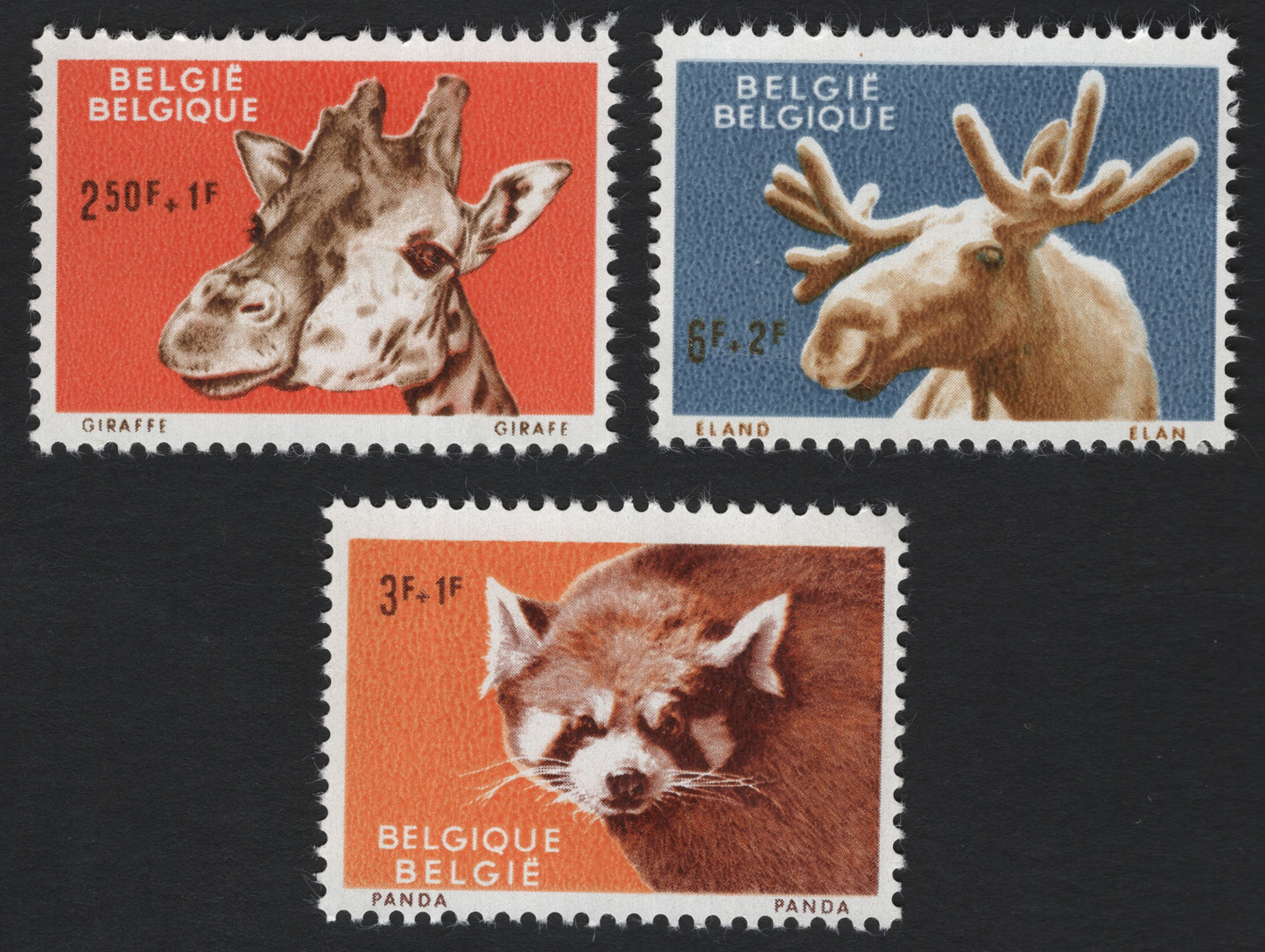 SCG8315 - Belgium 1967 “Zoo Animals” Semi-Postal Series