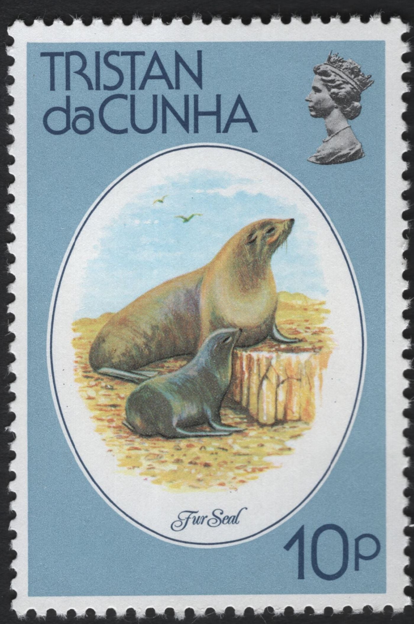 SCG7377 - Tristan da Cunha – Native Wildlife Definitives (c. 1970s)