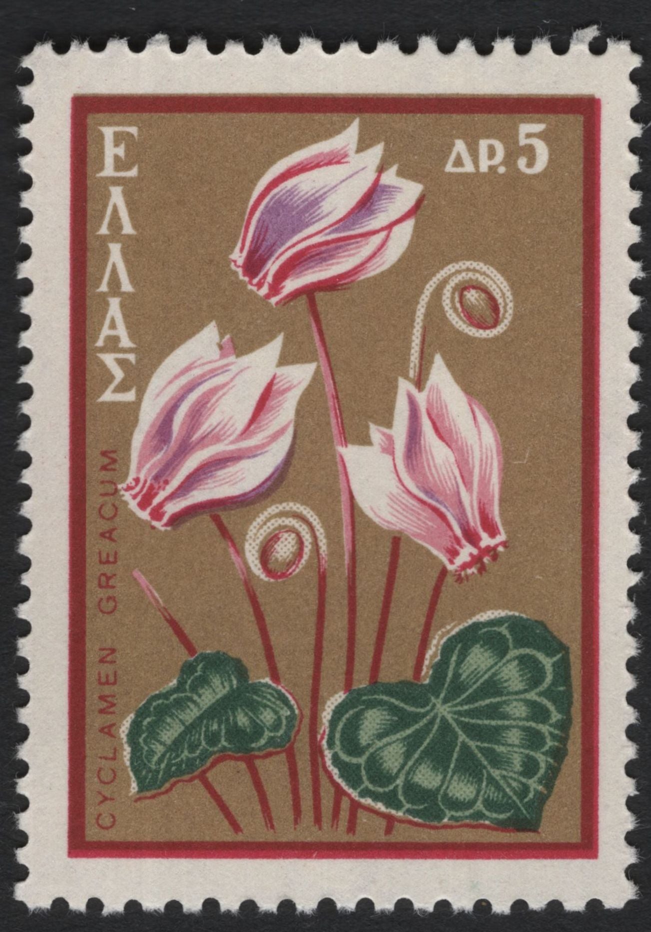 SCG8320 - Greece 1961 Native Flowers Definitives – Cyclamen, Tulip & Iris