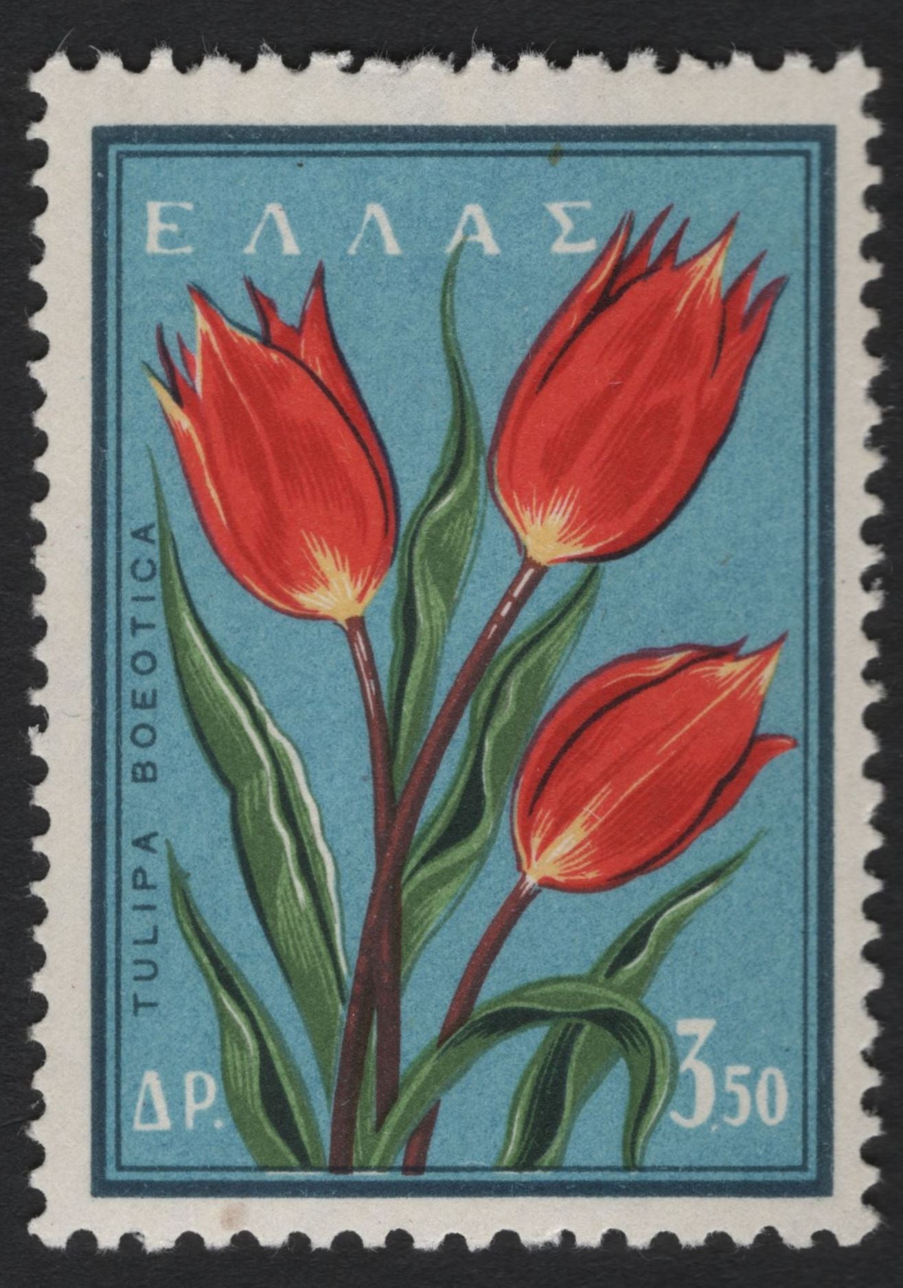SCG8320 - Greece 1961 Native Flowers Definitives – Cyclamen, Tulip & Iris
