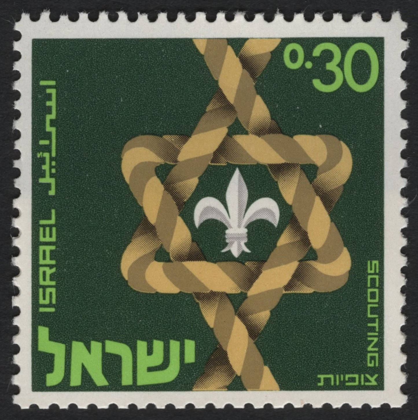 SCG8689 - Israel 1973 – Scouting Movement Emblem