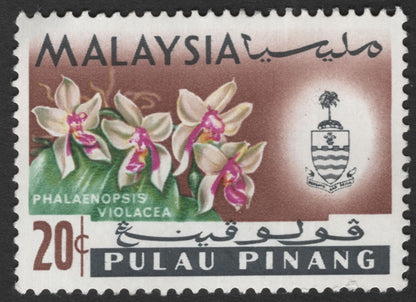 SCG11786 - Malaysia (Pulau Pinang) Orchid Definitive Pair – Rhynchostylis retusa & Phalaenopsis violacea