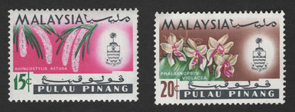 SCG11786 - Malaysia (Pulau Pinang) Orchid Definitive Pair – Rhynchostylis retusa & Phalaenopsis violacea