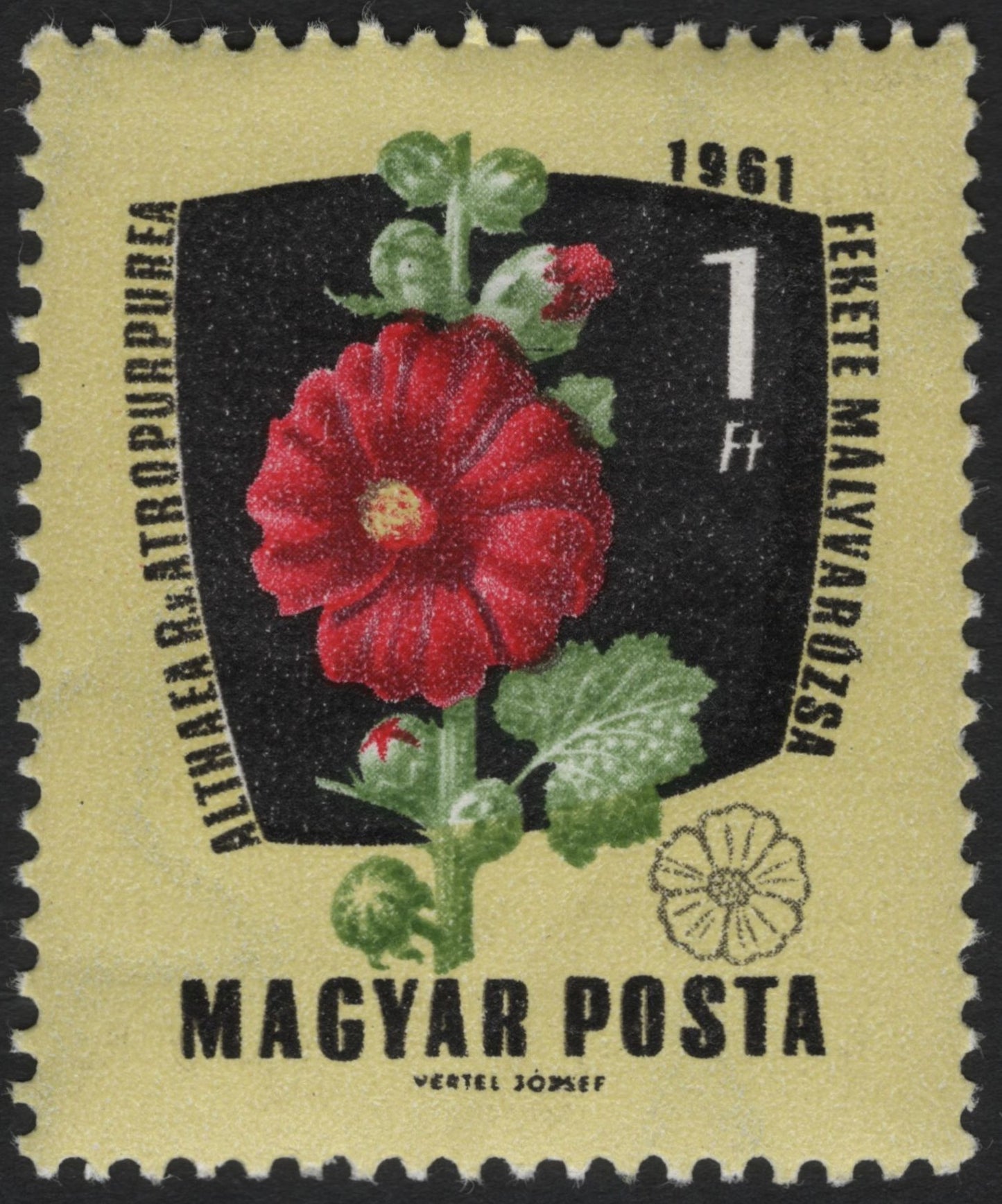 SCG6564 - Hungary 1961 – Black Hollyhock (Althaea rosea var. atropurpurea)