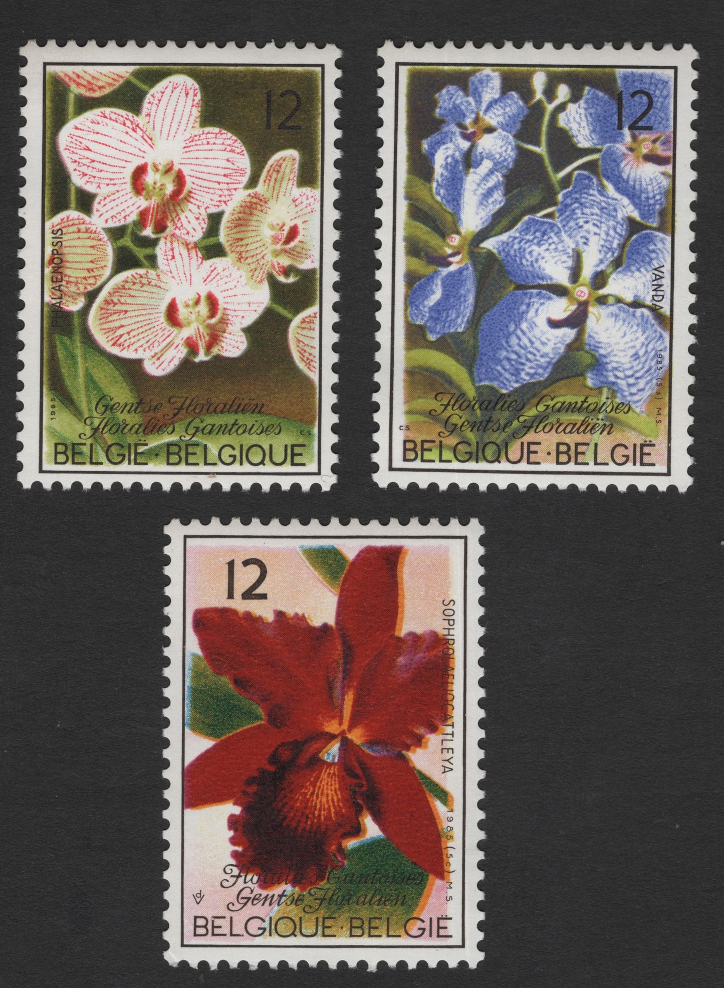 SCG11800 - Belgium 1985 Ghent Floralies Orchids – Complete Set (Phalaenopsis, Vanda, Sophrocattleya)