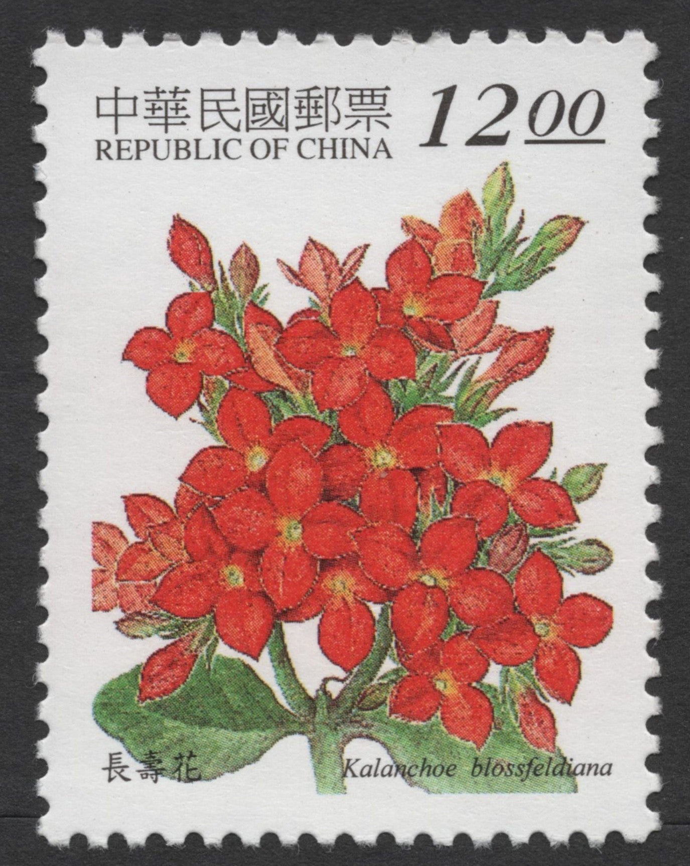 SCG269 Republic of China Floral Postage Stamp Set – Portulaca, Gaillardia & Kalanchoe