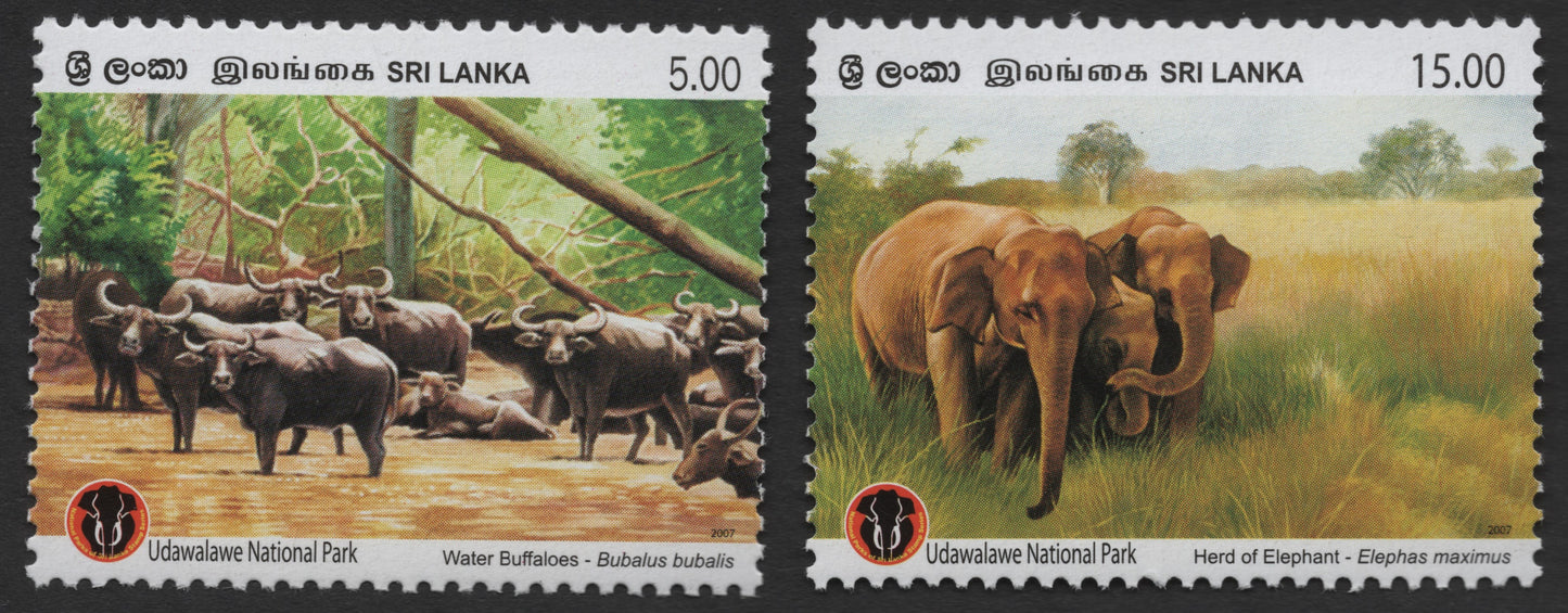 SCG935 - Sri Lanka 2007 Udawalawe National Park Wildlife Pair