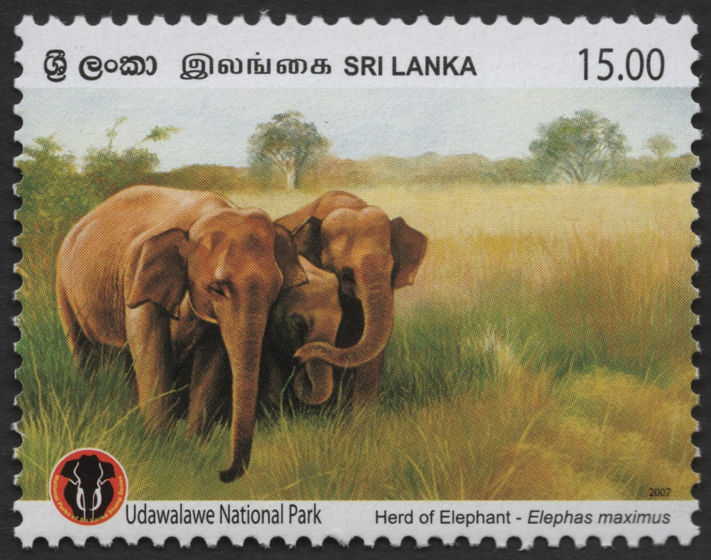 SCG935 - Sri Lanka 2007 Udawalawe National Park Wildlife Pair