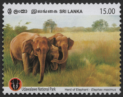 SCG935 - Sri Lanka 2007 Udawalawe National Park Wildlife Pair