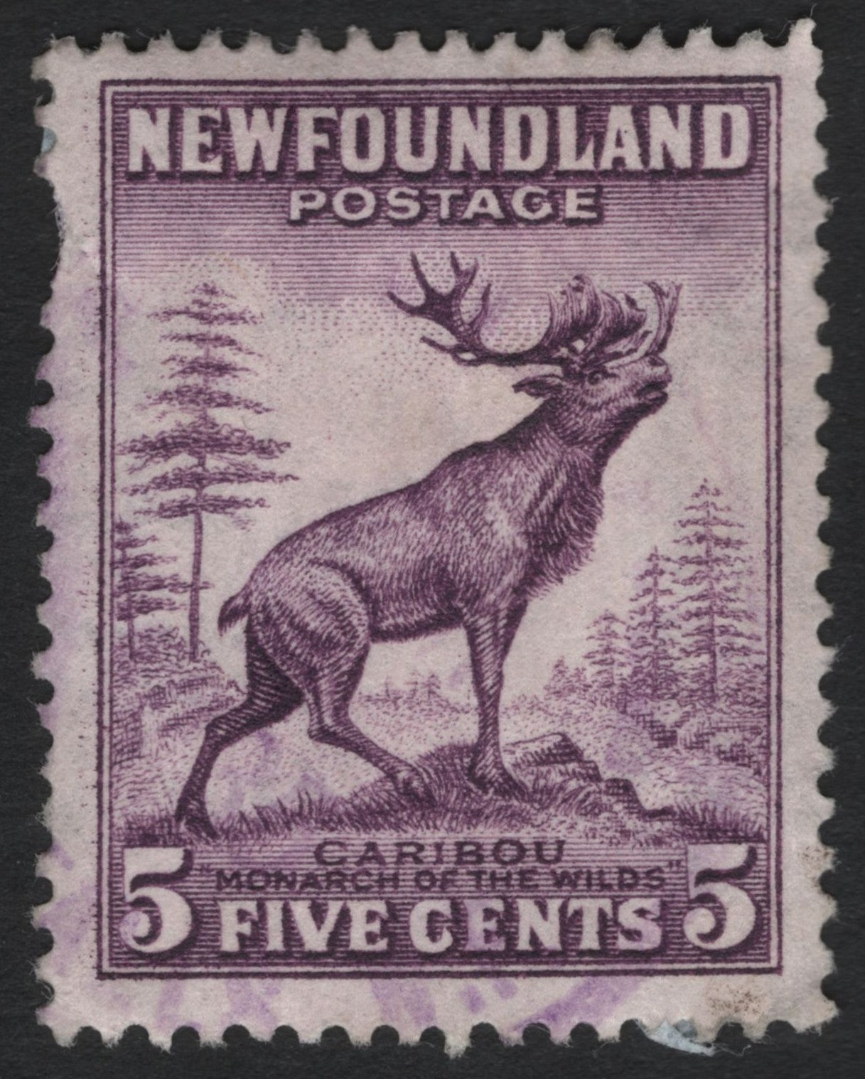 SCG9010 - Newfoundland 5 Cents Caribou – Monarch of the Wilds (Definitive)