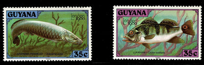 SCG124 Guyana Fish Stamps – Arapaima & Lukanani – London Exhibition Issue - 1980